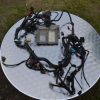 CDI Triumph Daytona 955i  T595 1997-2001