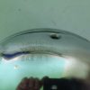 Far Yamaha XS650 Crom 1976-1983 - imagine 4
