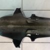 Aripa Fata Honda CBR900RR (SC44) 2000-2001  SC50 2002-2003 - imagine 5