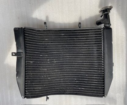 Triumph Daytona 675 2006-2012 Radiator apa