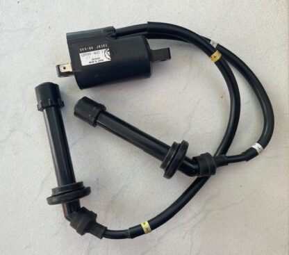 Yamaha FZ6 (RJ14) 2007-2009 Bobina inductie 1-4